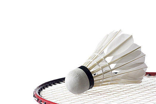 后防线零封 后防线零封