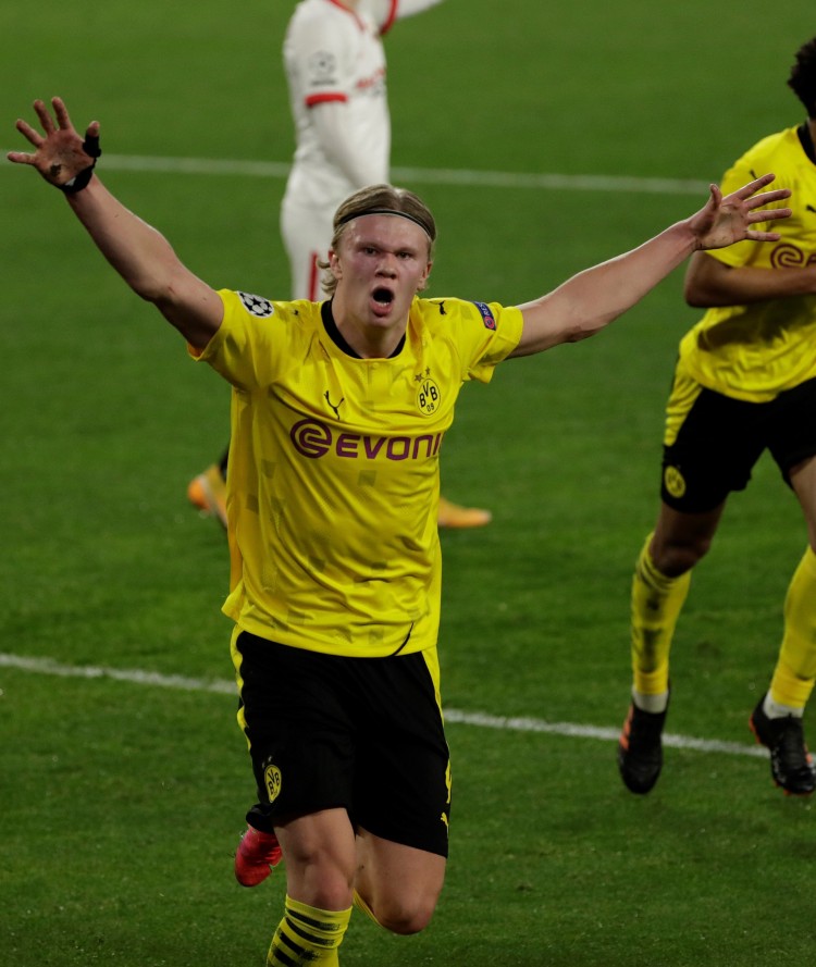 費萊尼與蒿 費萊尼與蒿