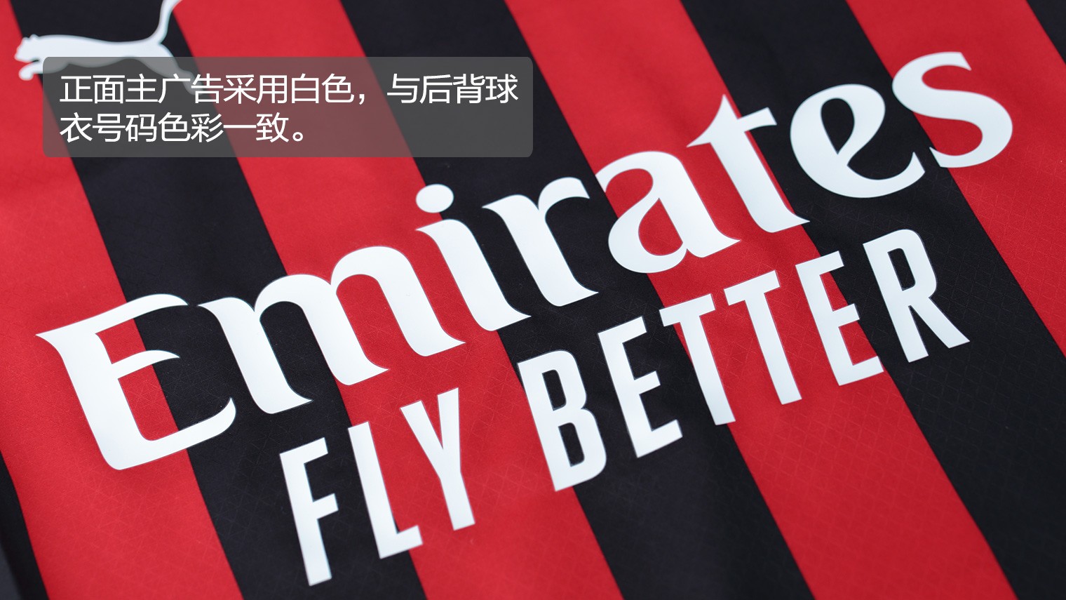 内野稳健双 内野稳健双